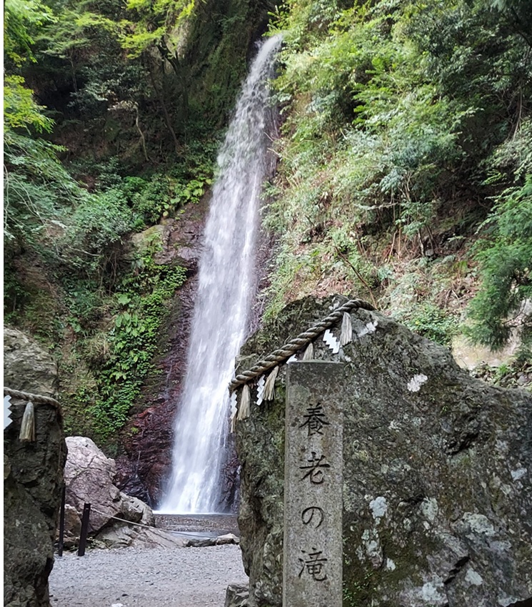 養老の滝