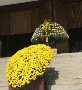 14DBCF7A-BD0D-4C74-ADEF-A03C04A3CC90