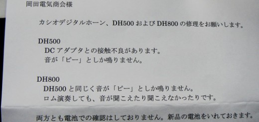 DSC05406
