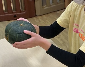 2026_6073